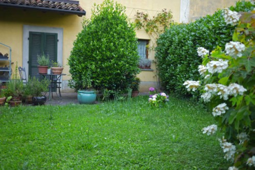 patio with flower pots, round table, hedge and white hhydrangea - garden decoration photos et images de collection
