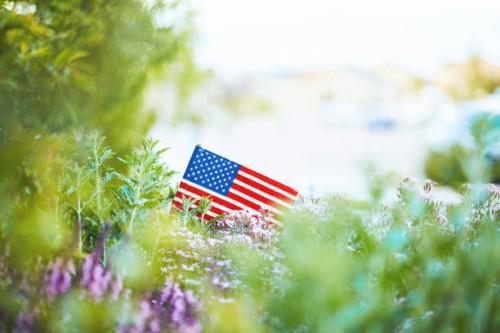 patriotic american flag in nature for memorial day - garden decoration stock pictures, royalty-free photos & images
