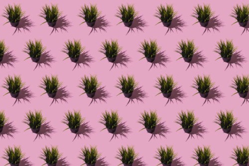 pattern of pots with a plastic green leafy plant, on a pink background. concept of plants, decoration and nature. - garden decoration stock pictures, royalty-free photos & images
