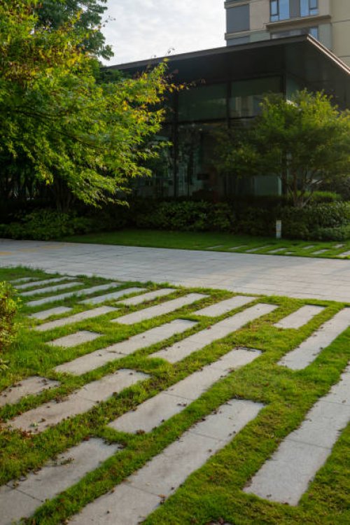 pavement paved with grass bricks - garden decoration stock pictures, royalty-free photos & images