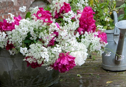 peonies bouquet - garden decoration stock pictures, royalty-free photos & images