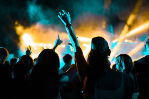 people attending live dj show - concert stock pictures, royalty-free photos & images