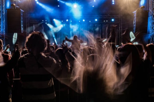 people enjoying rock concert, motion blurred headbanging fans - concert stock pictures, royalty-free photos & images