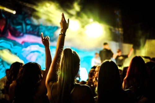 people raising arms and dancing during dj party - concert stock pictures, royalty-free photos & images