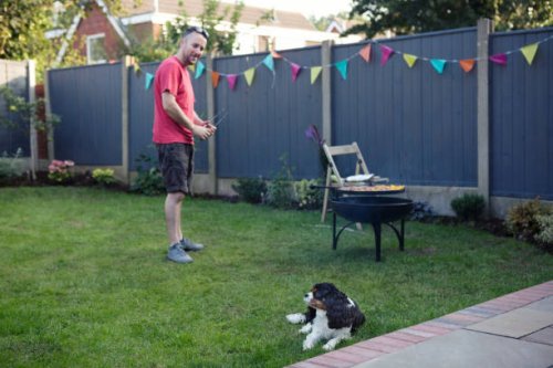 pet dog trying to ignore man barbecueing food in the background - garden decoration stock pictures, royalty-free photos & images