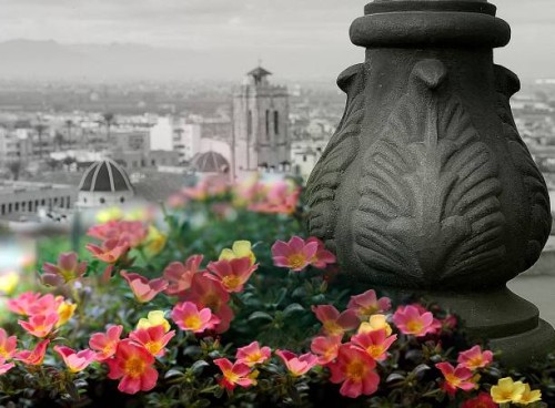 photo by: manuel sola pérez - garden decoration stock pictures, royalty-free photos & images