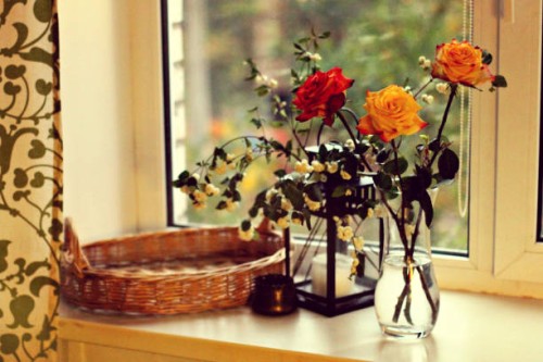 photo by: mira_barhatova - garden decoration stock-fotos und bilder