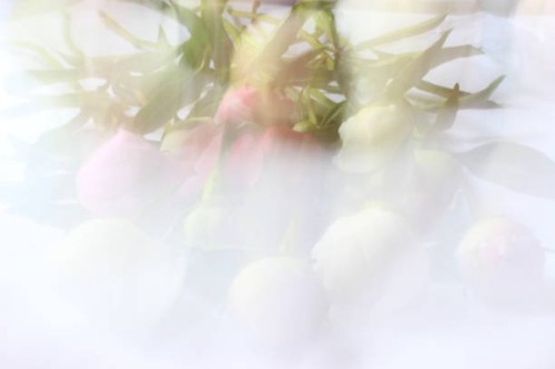 photo by: natalia solonina - garden decoration stock pictures, royalty-free photos & images