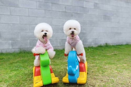 photo by: zhao hui - garden decoration stock pictures, royalty-free photos & images