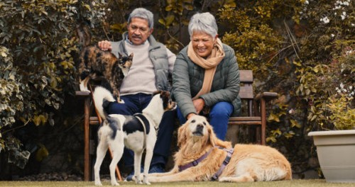 photo d’un couple de personnes âgées heureux jouant avec leurs animaux de compagnie tout en se relaxant dans un jardin - garden decoration photos et images de collection