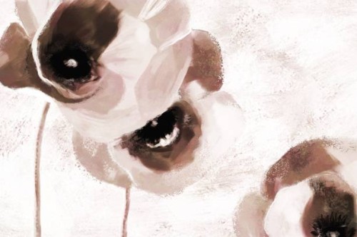 picturesque illustration of blooming poppies. - garden decoration stock illustrations