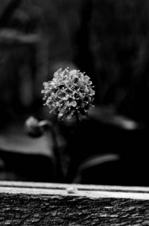 piece of a garden - garden decoration stock pictures, royalty-free photos & images