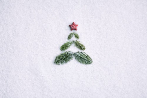 pine branche christmas tree - background nature snow white - home decoration stock pictures, royalty-free photos & images
