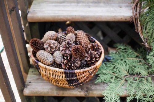 pine cones in a basket - garden decoration stock pictures, royalty-free photos & images