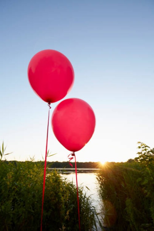 pink balloons for party decoration at lake against sky - garden decoration stock pictures, royalty-free photos & images