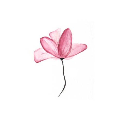 pink magnolia flower on a white isolated background, painted in watercolor technique. drawing with a brush - garden decoration stock pictures, royalty-free photos & images