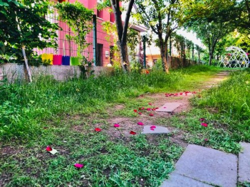 pink roses’s leafs on the grass at garden 4 - garden decoration stock pictures, royalty-free photos & images