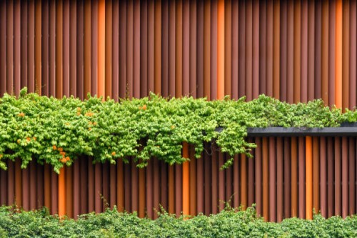 plant decoration wall - garden decoration stock pictures, royalty-free photos & images