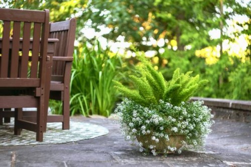 planter on a stone patio. - garden decoration stock pictures, royalty-free photos & images