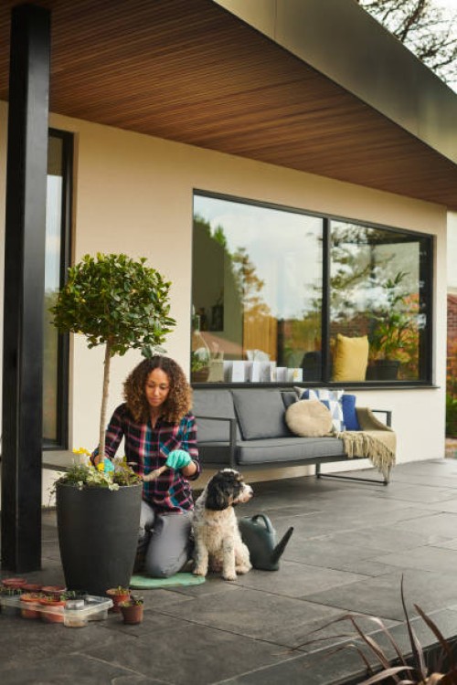 planting up the patio - home decoration stock pictures, royalty-free photos & images