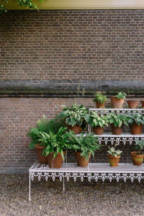 plants in pots in a garden - garden decoration stock pictures, royalty-free photos & images