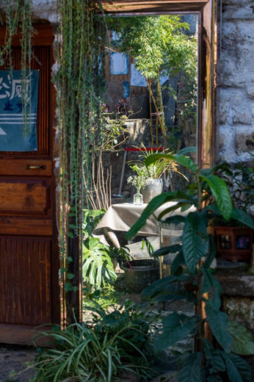 plants of yard in mirror - garden decoration stock pictures, royalty-free photos & images