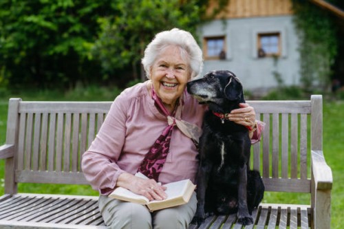 portrait of elderly woman sitting on bench, embracing older dog. companion animals for seniors. - garden decoration photos et images de collection