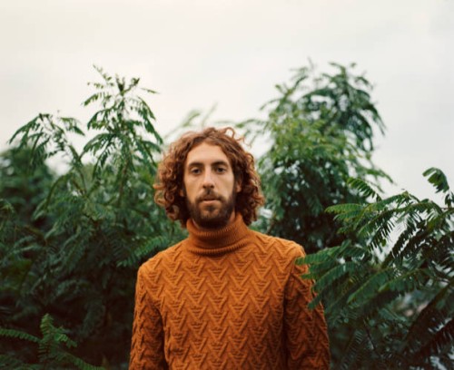 portrait of man in orange sweater on the background of green leaves - fashion stock pictures, royalty-free photos & images