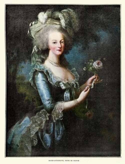 portrait of marie-antoinette queen of france, after élisabeth vigée-lebrun - fashion stock illustrations