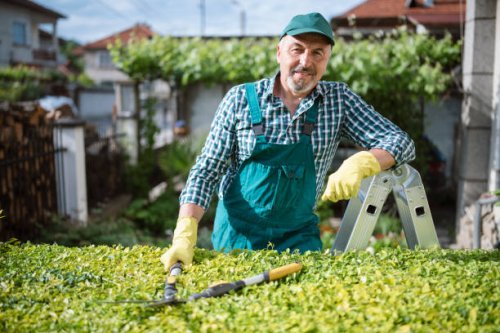 portrait of senior gardener. - garden decoration stock pictures, royalty-free photos & images