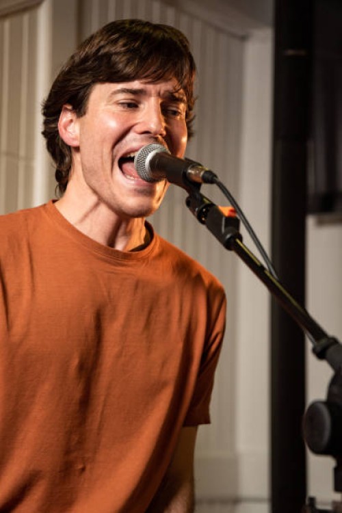 portrait of singer singing at a concert in a pub with colored light illumination - concert stock pictures, royalty-free photos & images