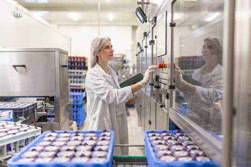 portrait of woman operating machines at food factory - food stock pictures, royalty-free photos & images