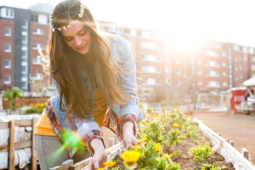 portrait of young woman at raised bed in front of multi-family house - garden decoration stock pictures, royalty-free photos & images