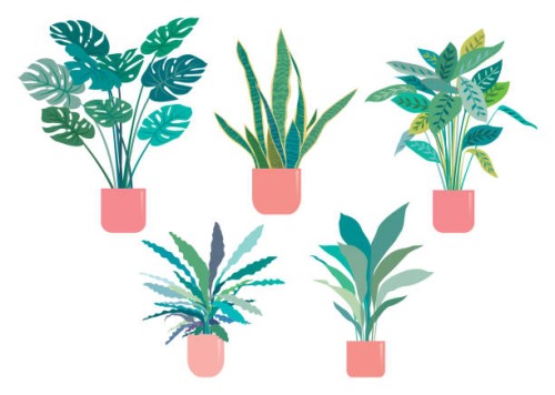 potted plant - garden decoration stock illustrations