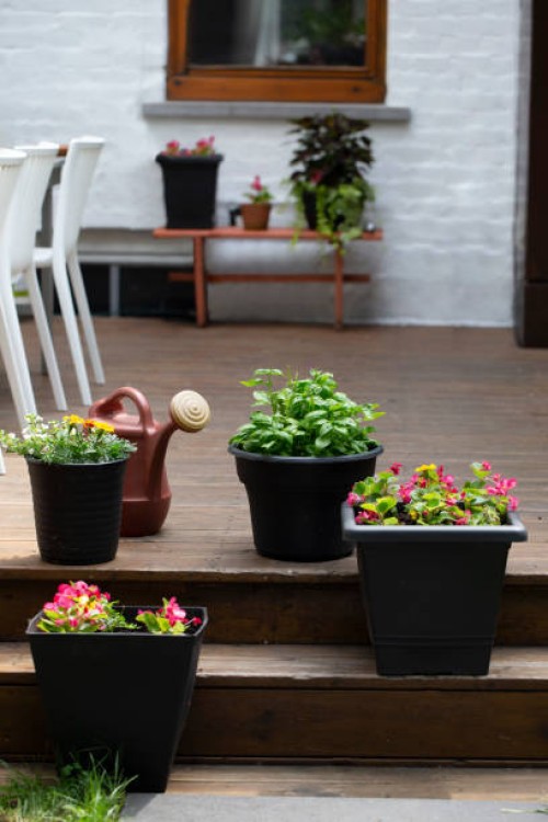potted plant on a backyard patio - garden decoration stock pictures, royalty-free photos & images
