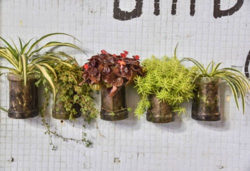 potted plants hanging on the wall. - garden decoration stock pictures, royalty-free photos & images