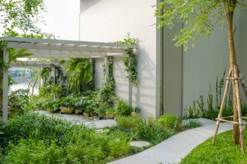 potted plants in garden. - garden decoration stock pictures, royalty-free photos & images