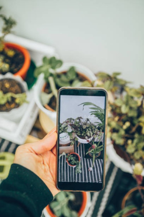 pov female hand taking photos with mobile device of arranged photos - garden decoration stock pictures, royalty-free photos & images