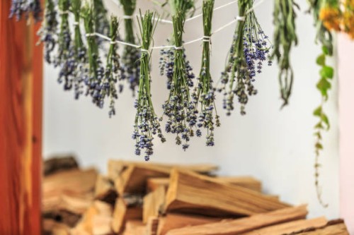 průhonice,czech republic - garden decoration stock pictures, royalty-free photos & images