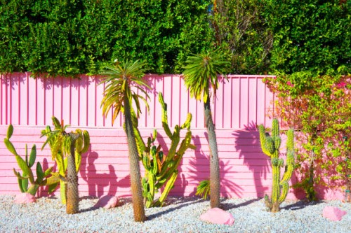 pretty cactus garden - garden decoration stock pictures, royalty-free photos & images