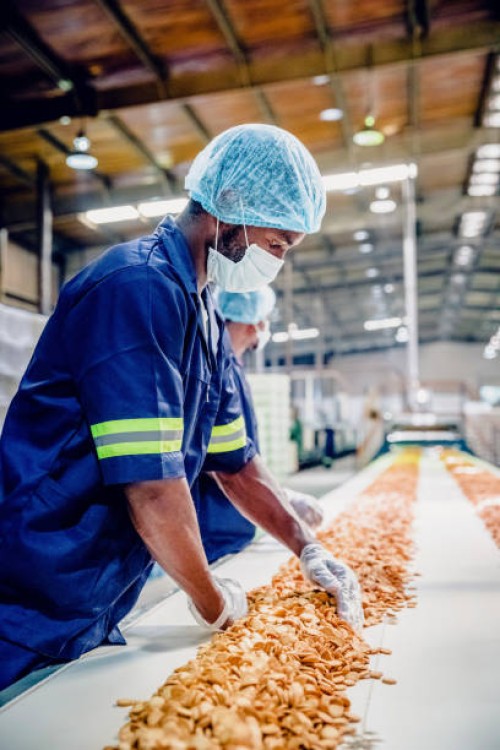 production line workers at a food processing plant - food stock pictures, royalty-free photos & images