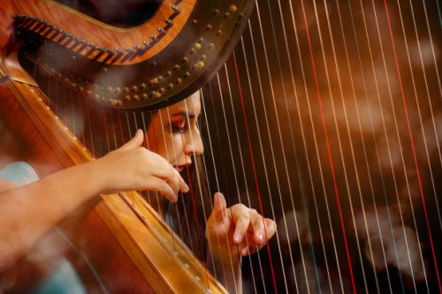professional female harpist during performance - concert stock pictures, royalty-free photos & images