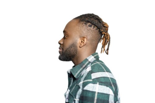 profile portrait of african american man with beard and braided hair on white background - hairstyle stock pictures, royalty-free photos & images