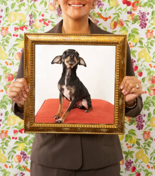 proud woman holding framed picture of dog - home decoration stock pictures, royalty-free photos & images