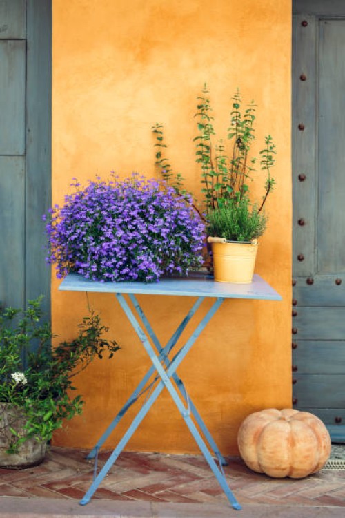 provencal decoration: flowers and thyme on a table against yellow wall. - garden decoration stock pictures, royalty-free photos & images