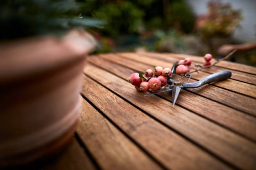 pruning shears and berries on garden table - garden decoration stock pictures, royalty-free photos & images
