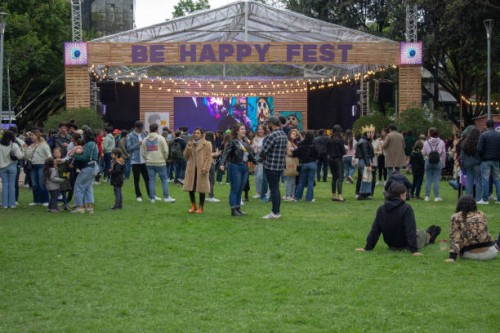 public fest in a park - concert stock pictures, royalty-free photos & images