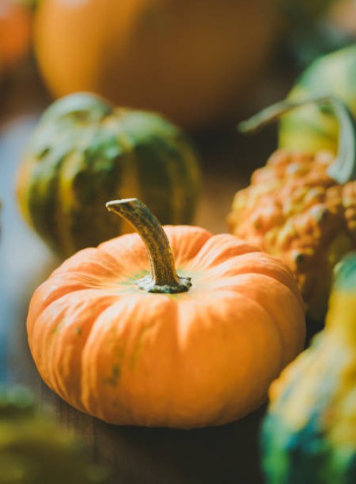 pumpkin - garden decoration stock pictures, royalty-free photos & images