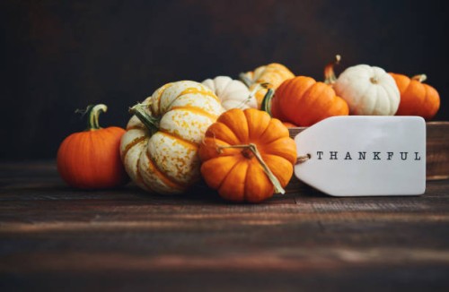 pumpkin collection with thankful message for thanksgiving. fall background - home decoration stock pictures, royalty-free photos & images