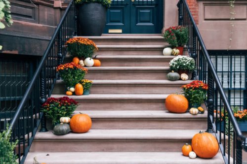 pumpkins and autumn flowers on the door steps, decorations for halloween - home decoration stock pictures, royalty-free photos & images